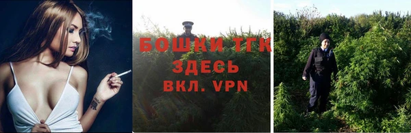 тгк Горнозаводск
