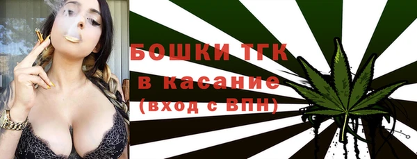 тгк Горнозаводск