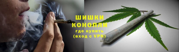 дмт Горно-Алтайск