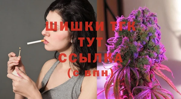 дмт Горно-Алтайск
