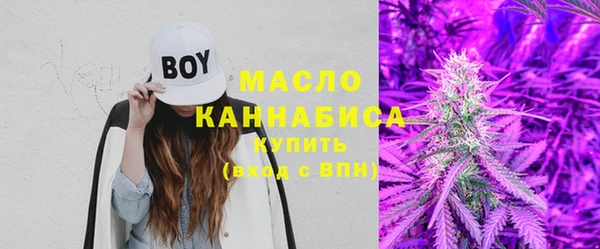 тгк Горнозаводск