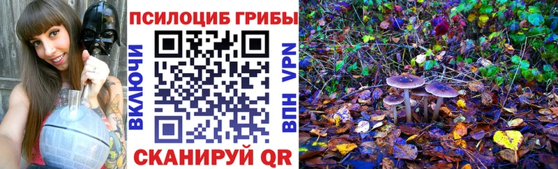 даркнет сайт  Нурлат  блэк спрут   Псилоцибиновые грибы Cubensis 