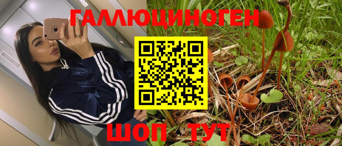 Псилоцибиновые грибы GOLDEN TEACHER Нурлат