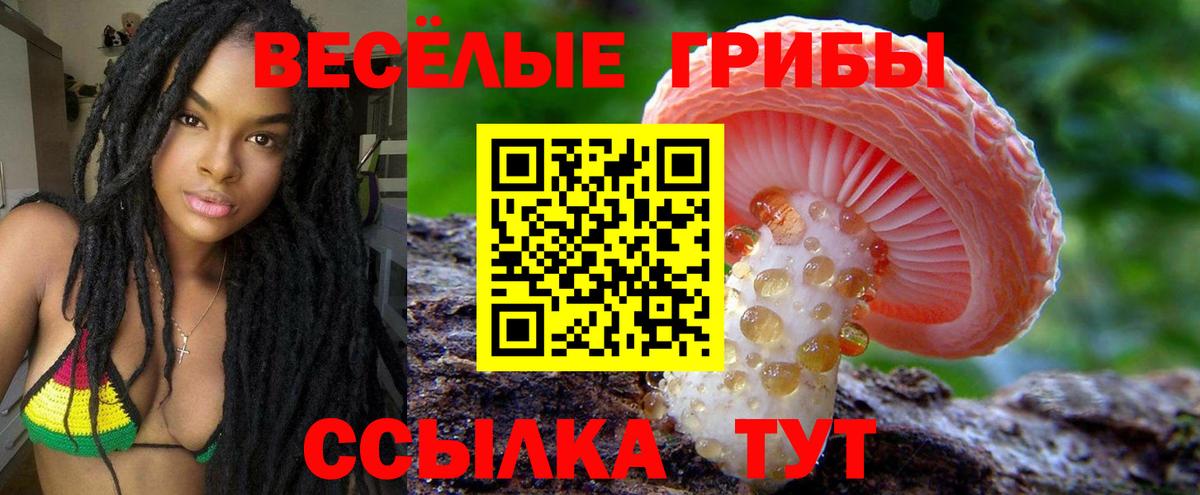 Нурлат  Галлюциногенные грибы прущие грибы  Вход с VPN 